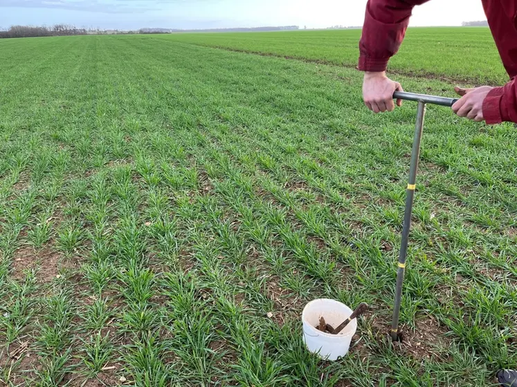 <em class="placeholder">Agriculteur prélevant de la terre à l&#039;aide d&#039;une tarière.</em>