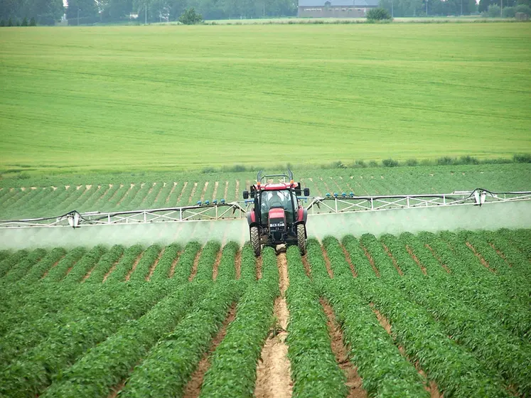 <em class="placeholder">Application d&#039;un fongicide sur pomme de terre pour lutter contre le mildiou. Traitement phytosanitaire.  Tracteur, pulvérisateur et rampe. Prévention des maladies des ...</em>