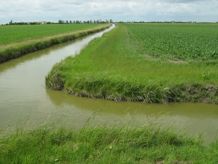 <em class="placeholder">Bordure de parcelle agricole en zone de marais vulnérable.</em>