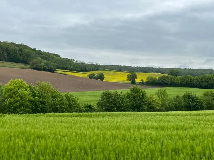 <em class="placeholder">Paysage avec diversité culturale.</em>