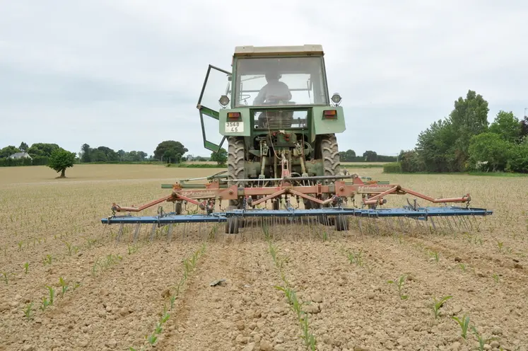 <em class="placeholder">Tracteur réalisant un désherbage mécanique sur une parcelle en AB.</em>
