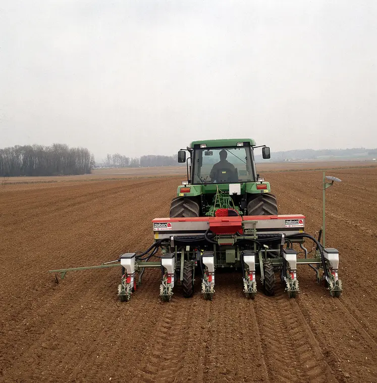 <em class="placeholder">Semis de tournesol. </em>