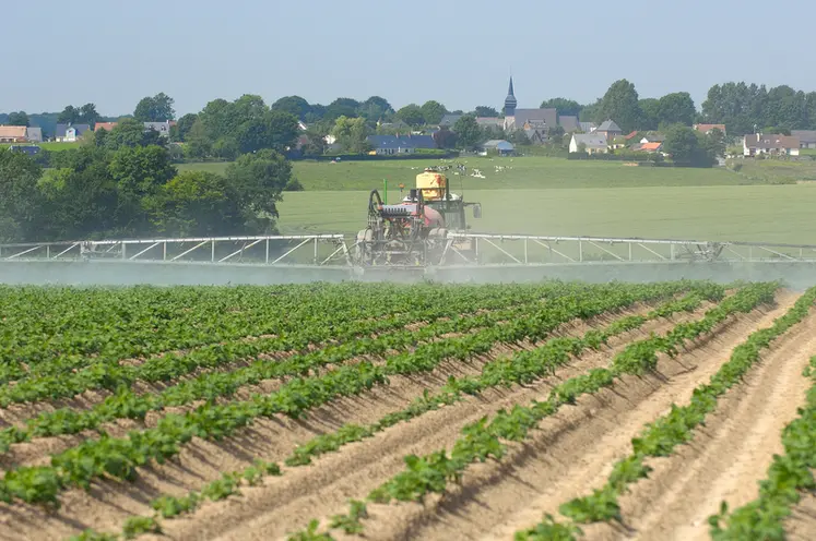 <em class="placeholder">Cultures / pommes de terre / traitement contre le mildiou / pulvÃ©risateur et rampe / application d&#039;un fongicide / produit phytosanitaire / utilisation de pesticides / au ...</em>