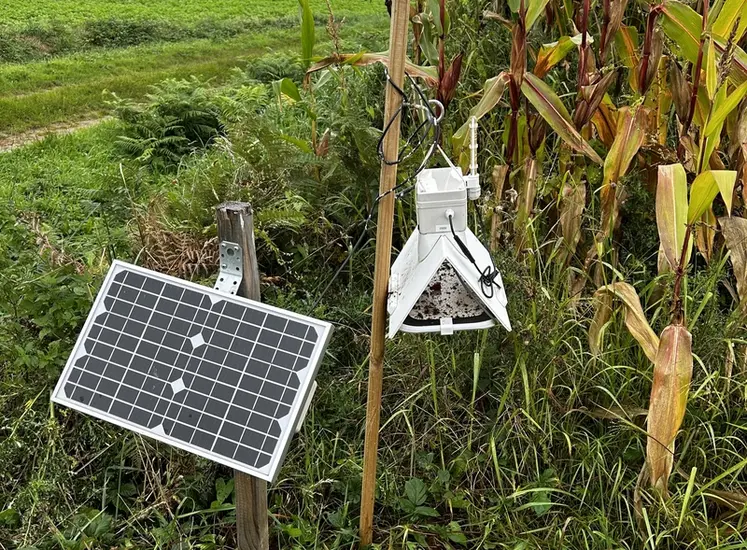 <em class="placeholder">piège connectés à pyrale avec caméra intégrée et panneau photovoltaïque</em>
