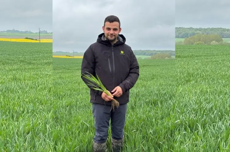 <em class="placeholder">Antoine Prévost, exploitant agricole à Foucherolles, dans son champ de blé au printemps 2025.</em>