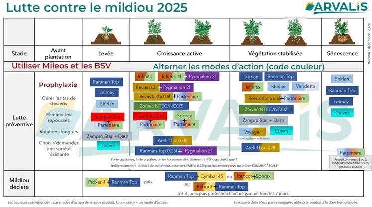<em class="placeholder">Mildiou de la pomme de terre : diversifier les modes d’actions des fongicides pour éviter les résistances</em>