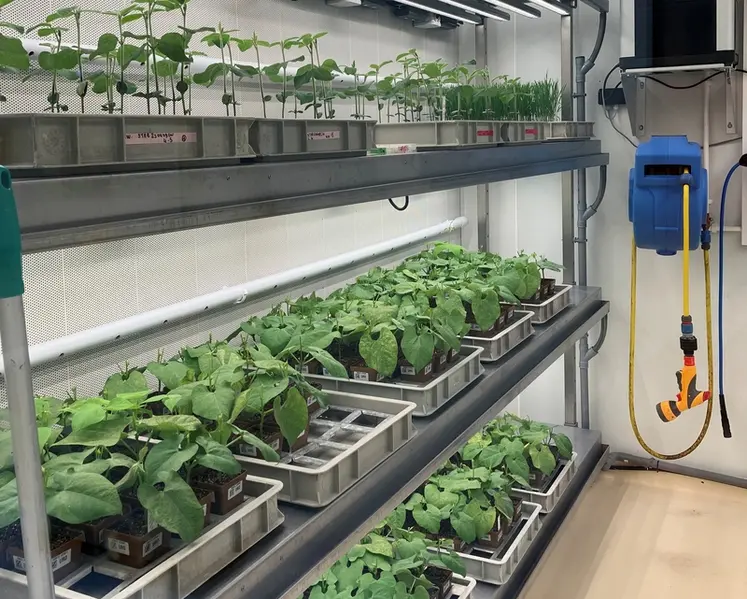 <em class="placeholder">Laboratoire de biologie avec différentes plantes en pot. </em>