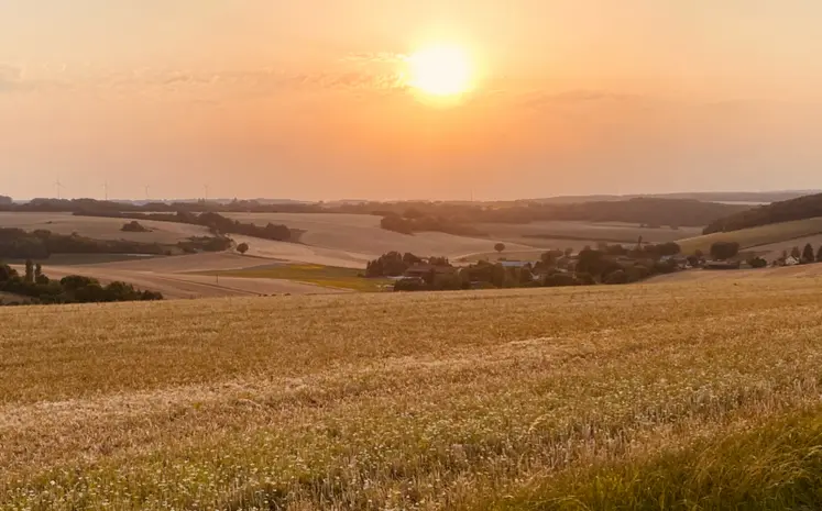 <em class="placeholder">Terres du nord de la Bourgogne où cultivent les producteurs de Terres du Pays d&#039;Othe.</em>
