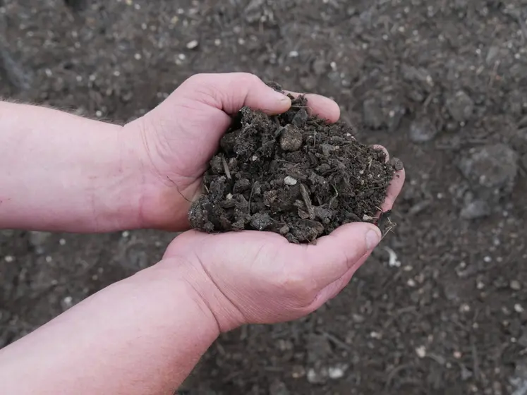 <em class="placeholder">En Bourgogne, les produits résiduaires organiques sont recherchés avant tout pour remonter le taux de matière organique des sols.</em>