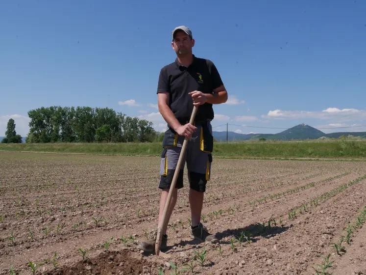 <em class="placeholder">Matthieu Kohler, agriculteur à Sélestat (67) :« Ma priorité numéro 1 avec l'épandage de produits résiduaires organiques est l'enrichissement de mes sols en matière ...</em>