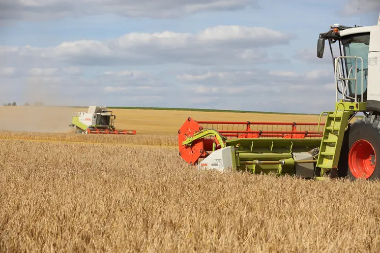 <em class="placeholder">Moisson des céréales. Moissonneuses-batteuses Claas dans une parcelle d'orge dans la plaine céréalière de la Marne. chantier de récolte des orges avec des rendements ...</em>