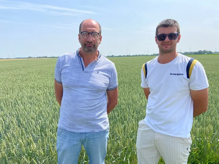 <em class="placeholder">Laurent et Quentin Carouge, agriculteurs installés sur 165 hectares à Anglure dans l&#039;Aube</em>