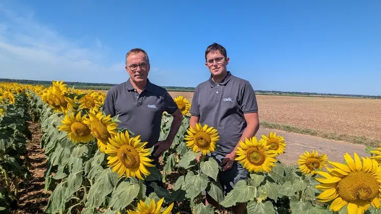 <em class="placeholder">Patrice Ayrault et son fils Antonin sur une parcelle de tournesol à Rives d&#039;Autise en Vendée</em>