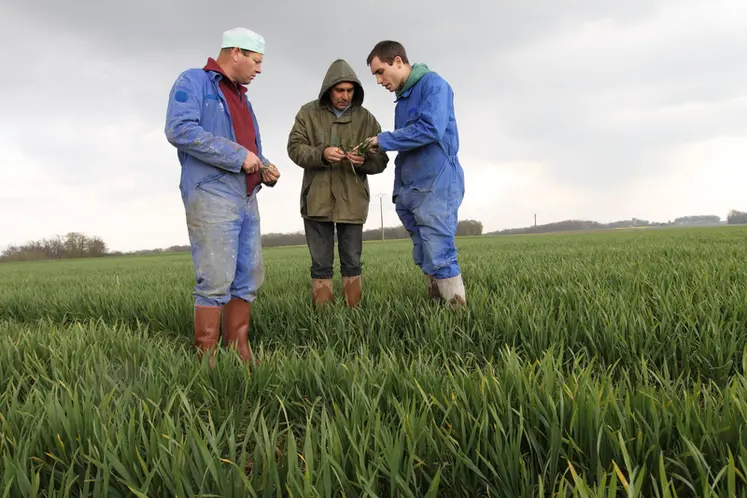 <em class="placeholder">Conseiller privé en traitement phytosanitaire, entouré d&#039;agriculteurs. </em>