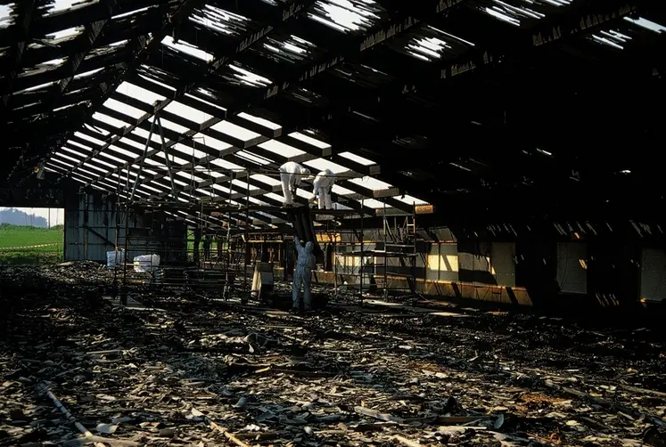 <em class="placeholder">recherche et élimination de l&#039;amiante / désamiantage d&#039;un bâtiment après incendie / conditionnement des déchets amiantés</em>