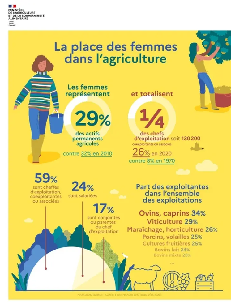 <em class="placeholder">infographie représentant la place des femme en agriculture</em>