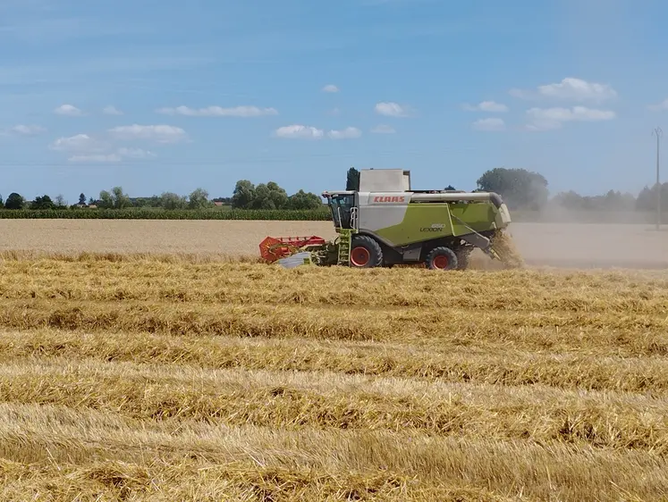 Moissonneuse batteuse en action dans une parcelle de blé tendre. Allier. 2024