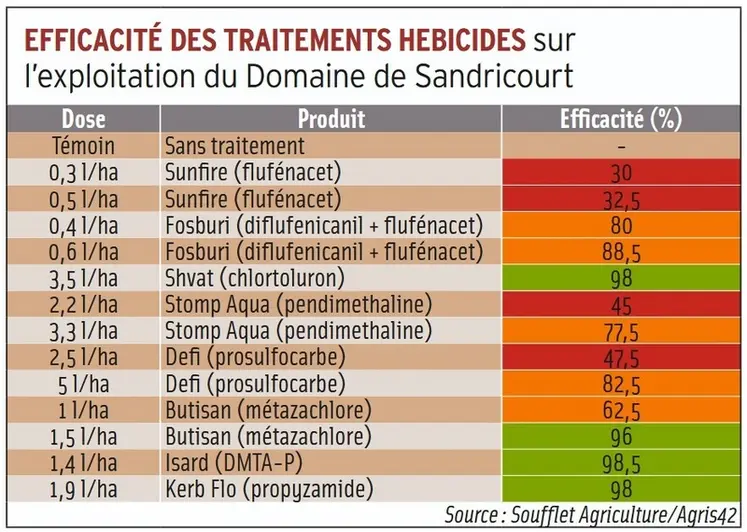 <em class="placeholder">Résistance herbicide : « J’ai remplacé le prosulfocarbe par du chlortoluron, suite à un diagnostic sur ray-grass sur des parcelles dans l&#039;Oise »</em>