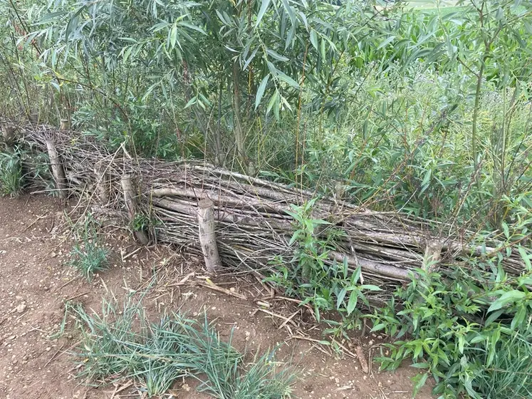 <em class="placeholder">La fascine a l’avantage de présenter une efficacité immédiate après son installation contre la création de ravines.</em>
