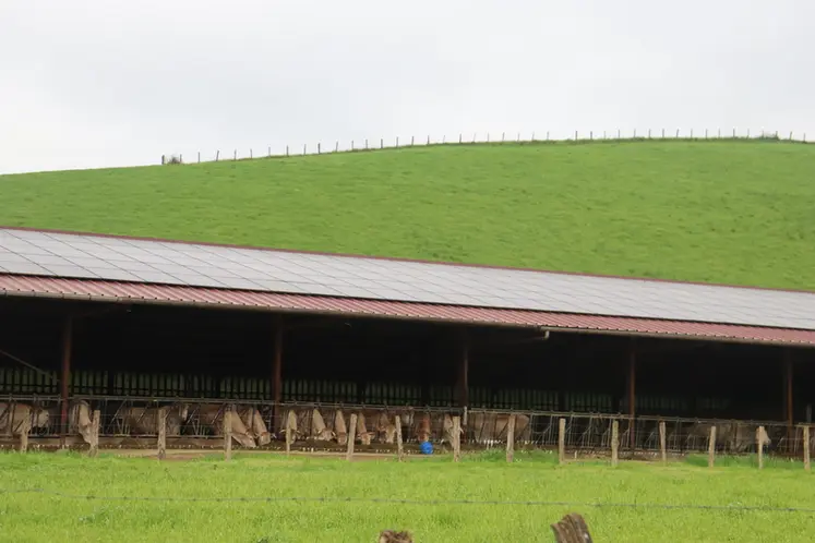<em class="placeholder">Panneaux photovoltaïques sur la toiture d'une étable</em>