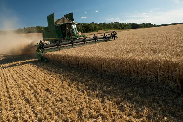 <em class="placeholder">Récolte 2020 de blé tendre dans le nord de l'Eure-et-Loir, parcelle en mélange variétal de blé tendre.</em>