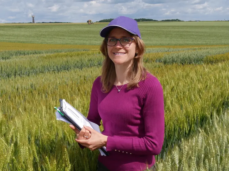 <em class="placeholder">Séverine Baptiste, chef marché semences chez Axéréal"Pour la campagne qui débute, nous développerons LG Allegro sur une de nos six zones commerciales, à savoir ...</em>