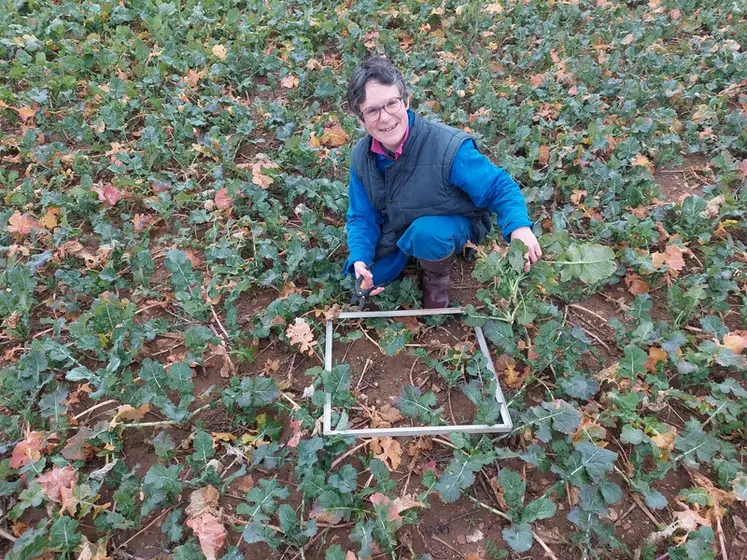 <em class="placeholder">Patricia Huet, agricultrice à Unverre (28),"Avec des parcelles dans un rayon de 5 kilomètres, les pesées de biomasse du colza sur deux tiers d’entre elles me prennent ...</em>