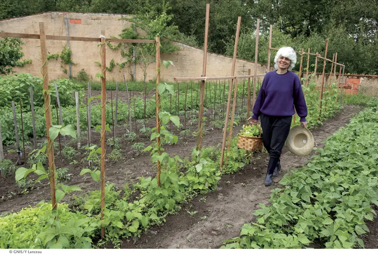 <em class="placeholder">jardin potager / cueillette, récolte des légumes / haricots, salades / jardinage</em>