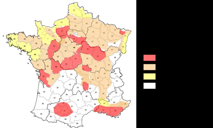 <em class="placeholder">Désherbage&nbsp;: ray-grass et vulpin accentuent leur pression au fil des ans sur les cultures</em>