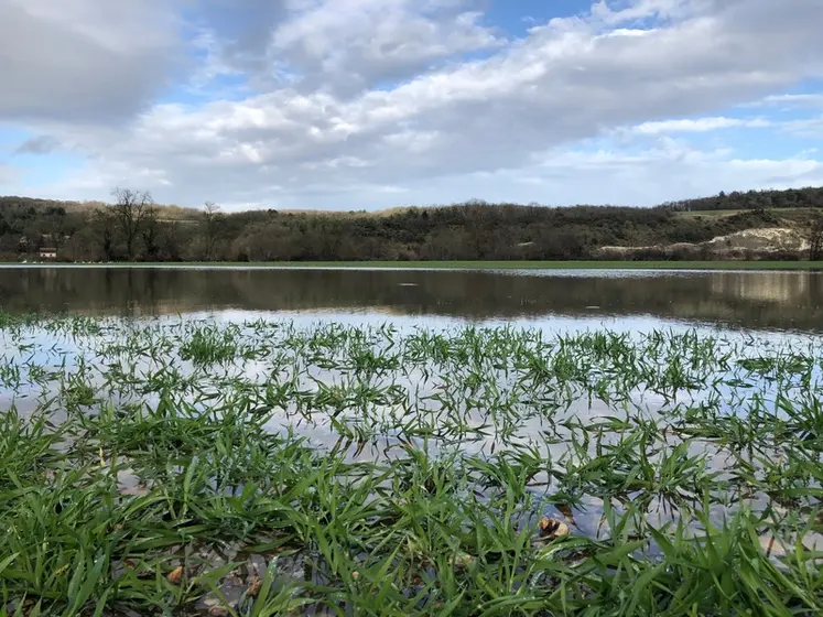 <em class="placeholder">Parcelle d'orge d'hiver inondée, à proximité de la rivière Eure</em>