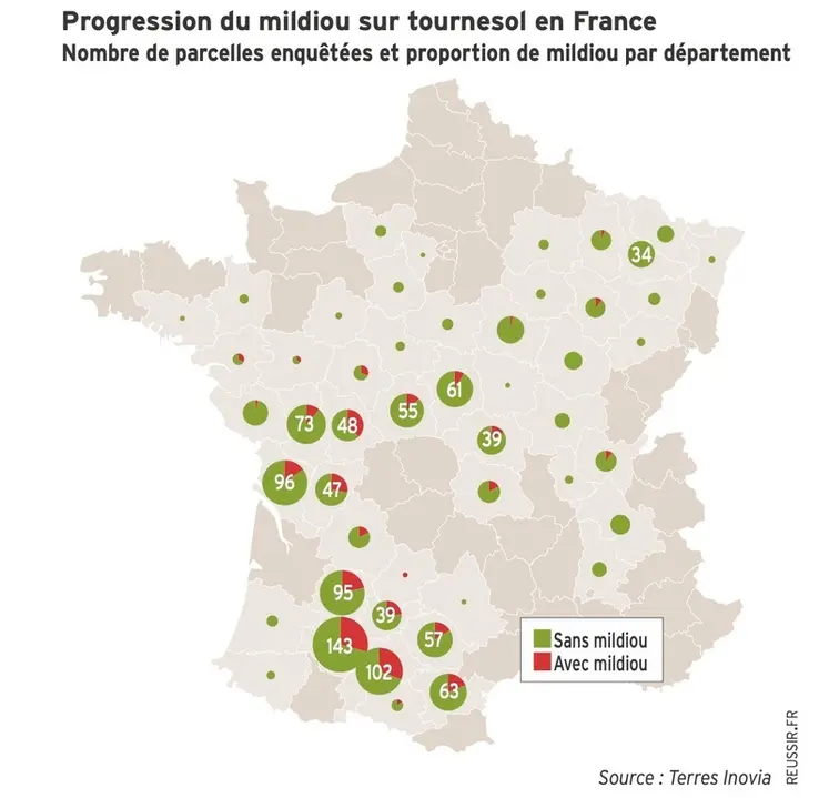 <em class="placeholder">Nombre de parcelles de tournesol enquêtées par département avec la proportion avec et sans mildiou.</em>
