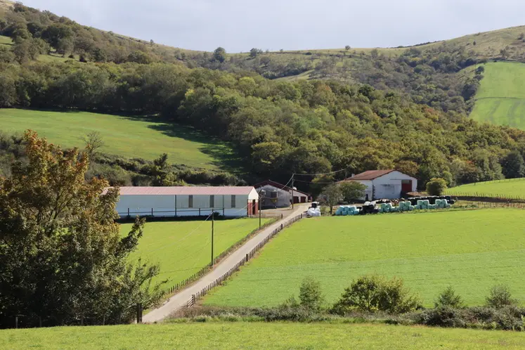 <em class="placeholder">Chemin goudronné entre parcelles agricoles</em>