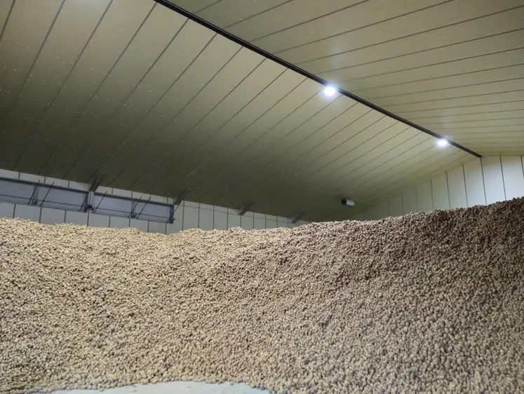 hangar agricole de stockage de pomme de terre dans le Nord