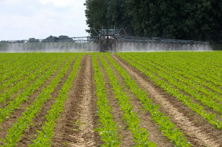 <em class="placeholder">Cultures / traitement dÃ©herbant sur champ de betteraves / pulvÃ©risateur et rampe / application d'un produit phytosanitaire / buses / utilisation de pesticides / ...</em>