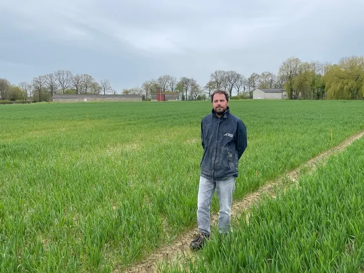 <em class="placeholder">Jean-Baptiste Gratecap, chambre d'agriculture d'Eure-et-Loir :«Pour le blé, les conséquences d’une impasse totale en phosphore est une perte de rendement de 30 % par ...</em>