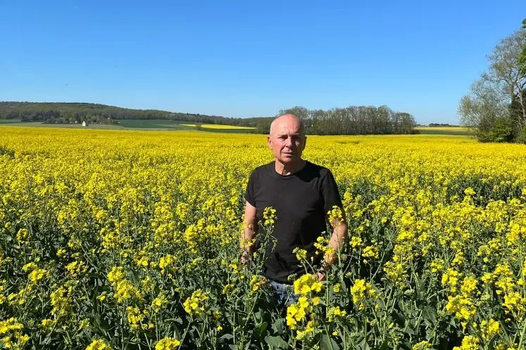 <em class="placeholder">François Lecoq, agriculteur à Gambais dans les Yvelines dans son champ colza</em>