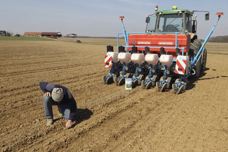 Agriculteur vérifiant son semis de betteraves à sucre.