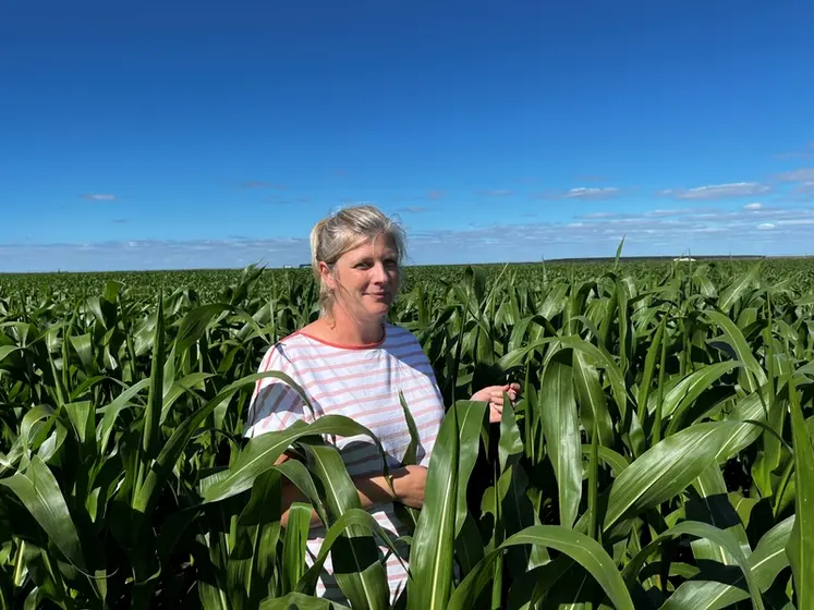 <em class="placeholder">Élodie Thirouin, agricultrice à Ychoux (40)"Un pH trop acide peut avoir un impact important sur nos cultures (légumes surtout) et donc, on ne peut pas se permettre de ...</em>