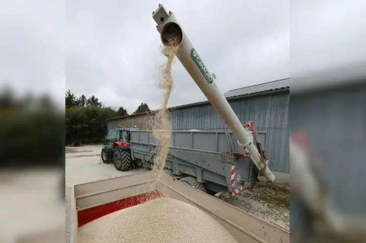 <em class="placeholder">Epandage d' engrais azoté en granule sur une parcelle de blé.
</em>