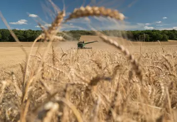 Moisson de blé en Eure-et-Loir