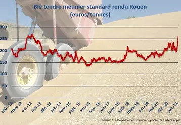le prix du blé rendu Rouen au plus haut depuis 2012