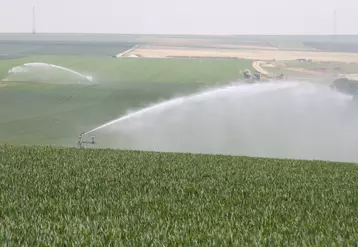 irrigation