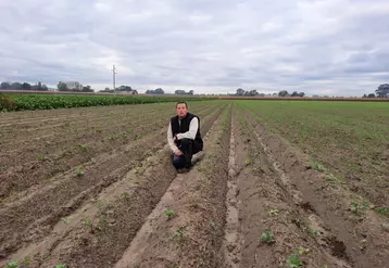 Olivier Secq, agriculteur à Herzeele (Nord) "Je compte sur les racines de l'engrais vert pour tenir les buttes jusqu’au printemps et y planter les pommes de terre sans les restructurer." © Gaec du Briel