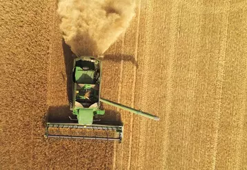 Le volume de la récolte de blé tendre est évalué à quelques 36 millions de tonnes, en hausse de 23% par rapport à 2020.