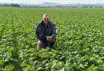 Philippe Collin, agriculteur en Haute-Marne  "Je suis curieux de savoir ce que des plantes présentes dans nos parcelles peuvent apporter comme informations. J'ai suivi une formation pour cela."