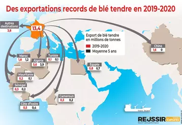 Les exportations de blé tendre français ont bénéficié en 2019-2020 de flux très importants vers la Chine totalement inédits, et ont regagné des parts de marché sur les débouchés traditionnels de la France. © Réussir / Douanes.