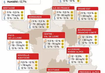 Le poids spécifique affiche un très bon niveau dans toute la France, et la teneur en protéine s'en tire plutôt bien. © Réussir / FranceAgrimer, ...