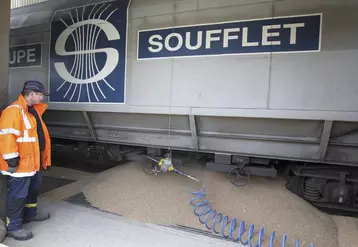 Le groupe Soufflet collecte 5,6 millions de tonnes de grains par an. © gutner  archive