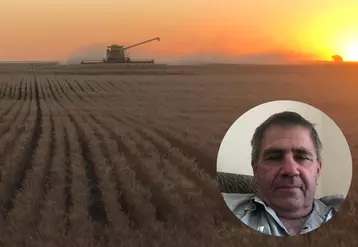 Le comportement du blé OGM tolérant à la sécheresse dans les conditions très difficiles de 2020 a convaincu Guillermo Irastorza d'accroître sa surface en 2021. © G. Irastorza