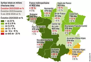 Le blé retrouve ses hectares après la chute marquée en 2020 liée à l'impossibilité de semer dans certaines parcelles à l'automne, particulièrement dans l'ouest de la France. © Réussir/SSP